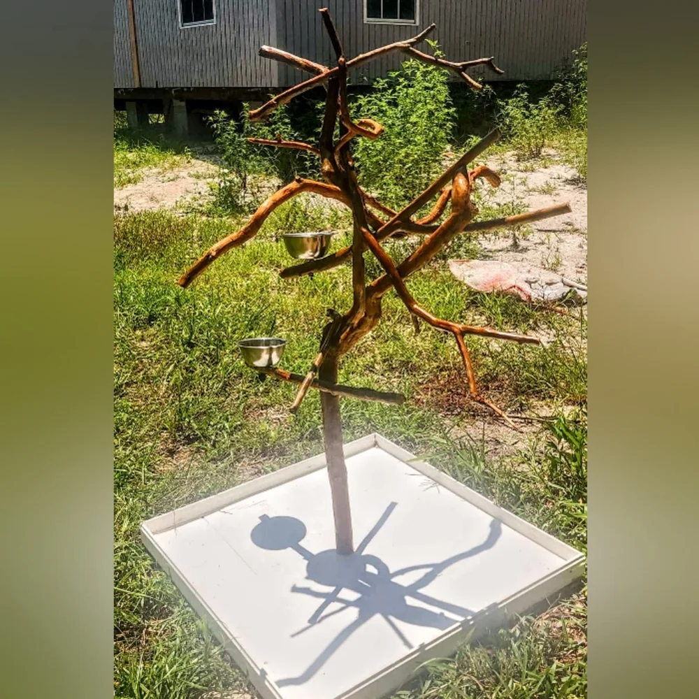 Custom exotic bird perch stands